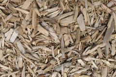 biomass boilers Fishleigh